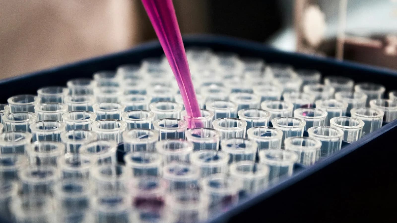 Liquid being dispensed into a rack of tubes