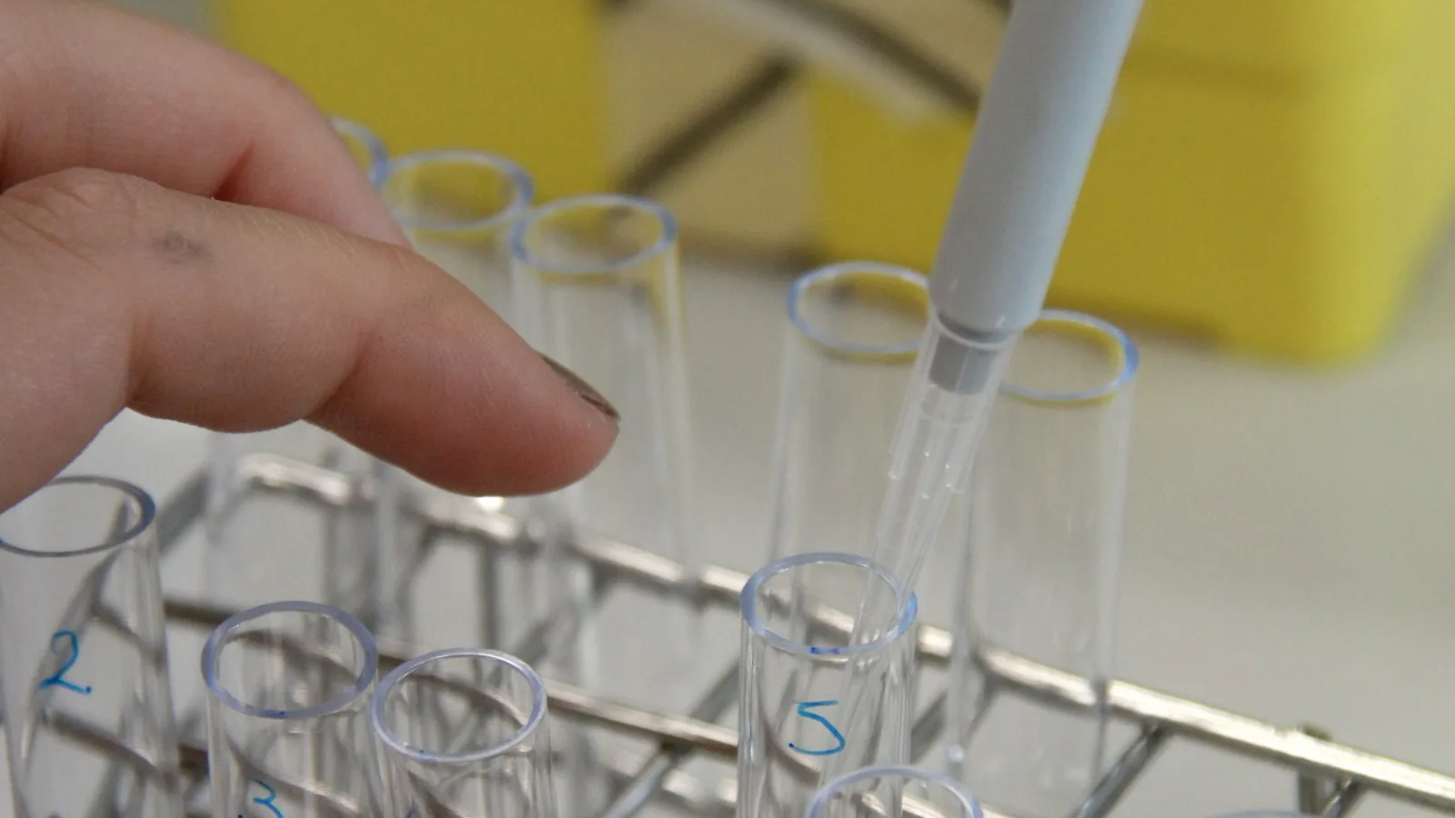 A pipette dispensing into a numbered rack of tubes