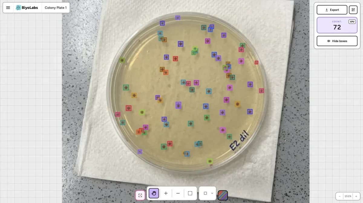 BiyoLabs colony counter in the browser with AI-detected colonies on an agar plate
